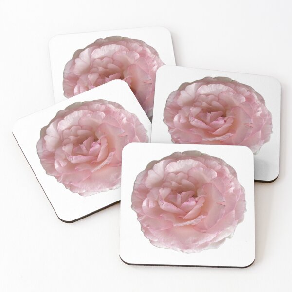 Item preview, Pink rose designed and sold by sonaadalian.