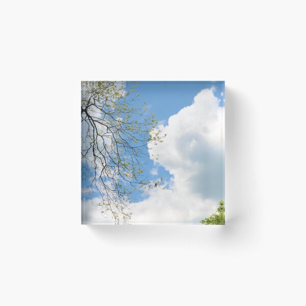 Item preview, Looking up designed and sold by Elizabeth Stiert.