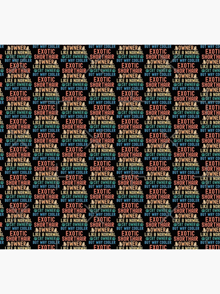 Exotic Shorthair Cat Owner