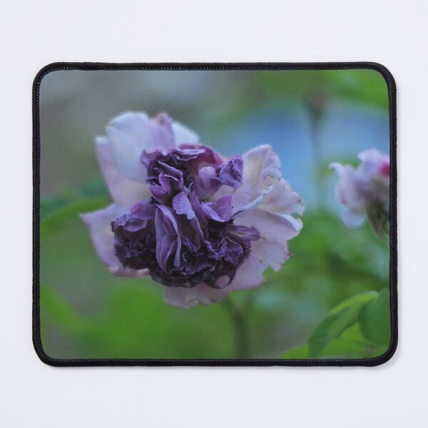 Item preview, Summer blossom  designed and sold by BlossomArtPhoto.