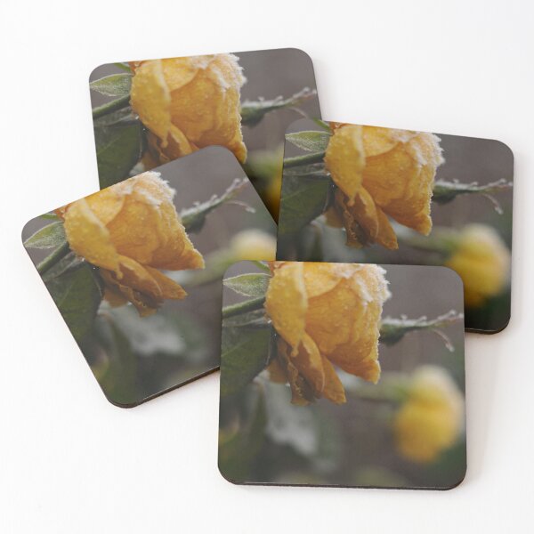 Item preview, Icy yellow rose designed and sold by BlossomArtPhoto.