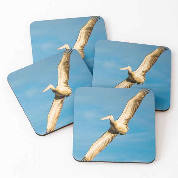 Item preview, Australian Pelican in flight designed and sold by robdanimalphotography.