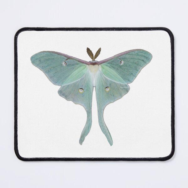 Item preview, Beautiful Luna Moth designed and sold by LoveofPeace.