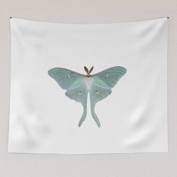 Item preview, Beautiful Luna Moth designed and sold by LoveofPeace.