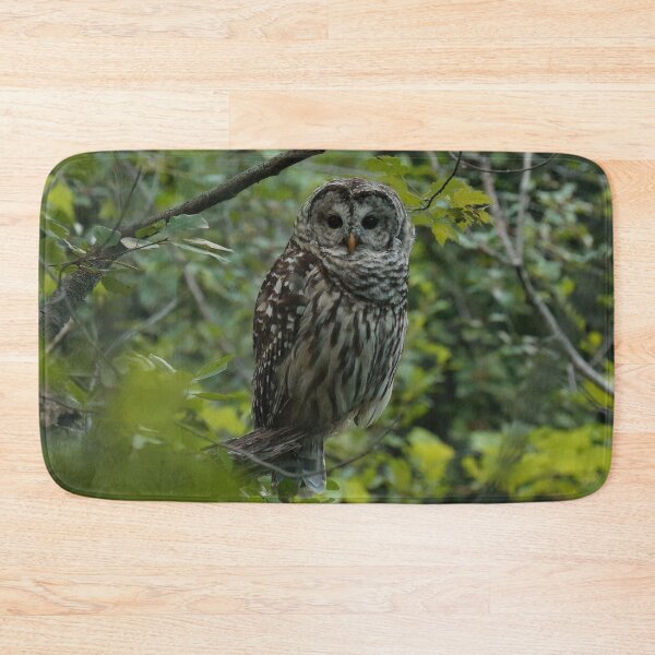 Item preview, Barred owl in lush forest designed and sold by locustgirl.