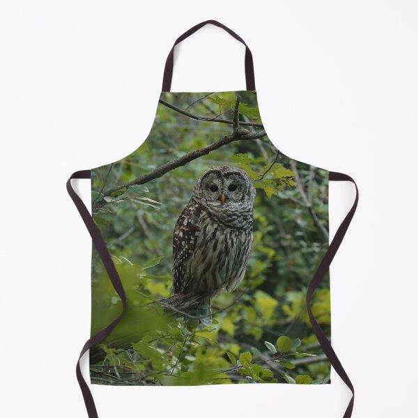 Item preview, Barred owl in lush forest designed and sold by locustgirl.