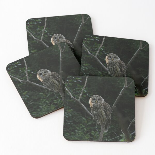 Item preview, Barred owl in tree designed and sold by locustgirl.