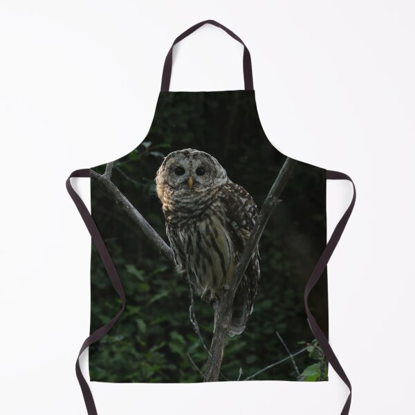 Item preview, Barred owl in tree designed and sold by locustgirl.