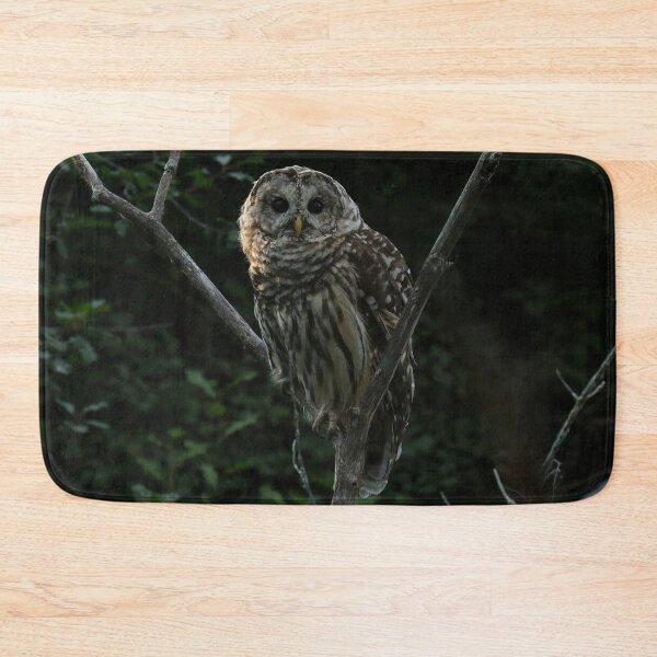 Item preview, Barred owl in tree designed and sold by locustgirl.