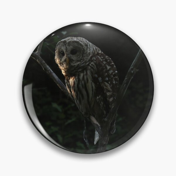 Item preview, Owl prowl designed and sold by locustgirl.