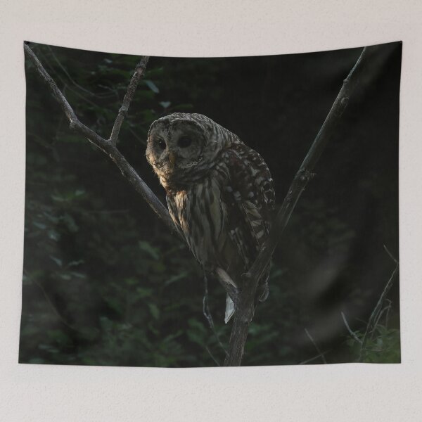Item preview, Owl prowl designed and sold by locustgirl.