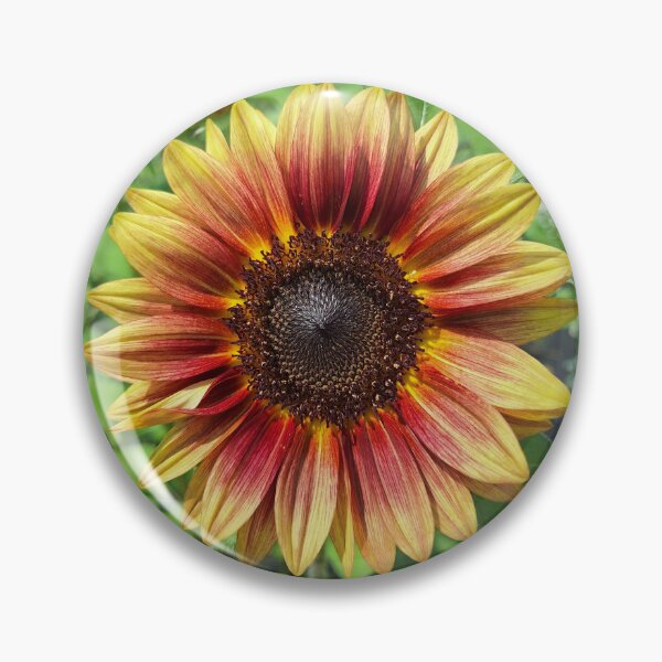 Item preview, Happy Sunflower designed and sold by EmliaAcres.