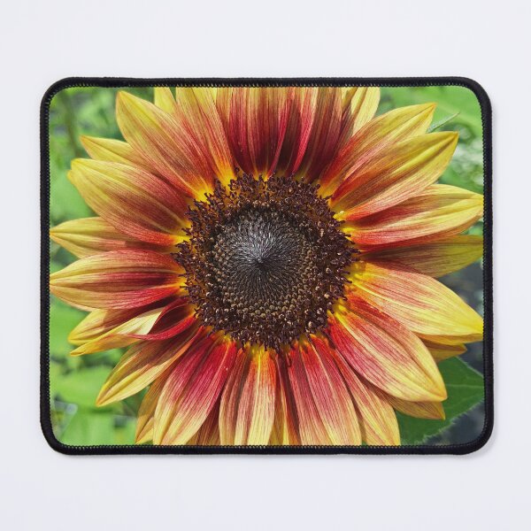 Item preview, Happy Sunflower designed and sold by EmliaAcres.