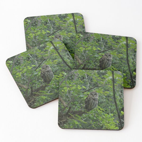 Item preview, Illustrious barred owl designed and sold by locustgirl.