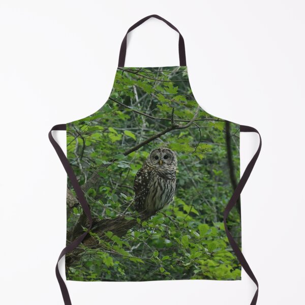Item preview, Illustrious barred owl designed and sold by locustgirl.