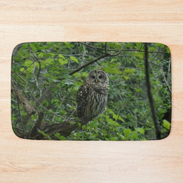 Item preview, Illustrious barred owl designed and sold by locustgirl.