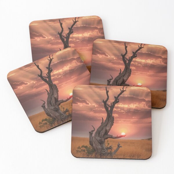 Item preview,  weathered tree  with gnarled branches standing in a field of golden grasses, with the backdrop designed and sold by macadolie.