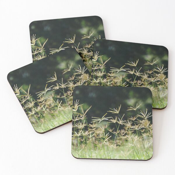Item preview, Sunshine makes the Paspalum grass glow designed and sold by jaynerushton.