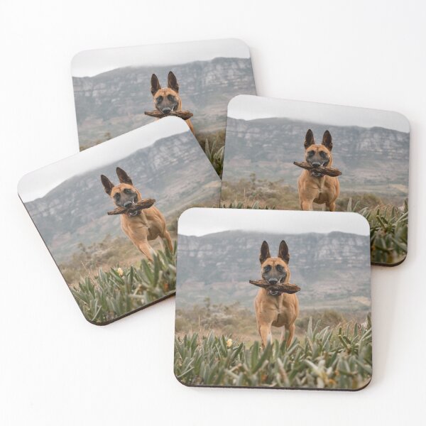Item preview, Belgian Shepherd PRINT designed and sold by Cannanvisual7.