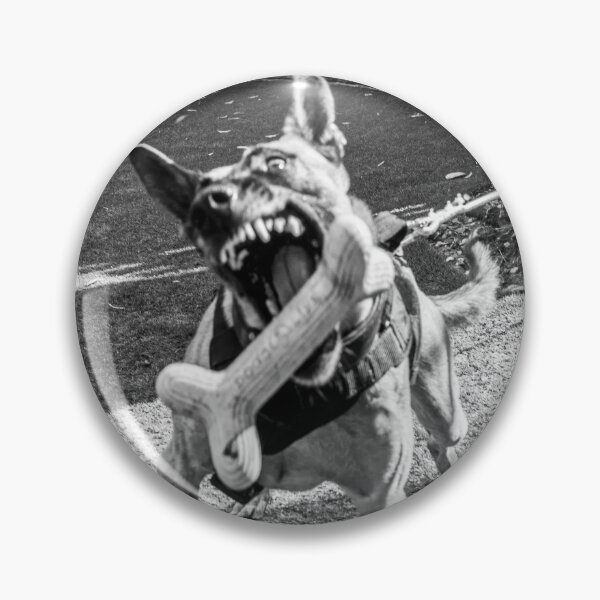 Item preview, Pastor Belga MORDIENDO  designed and sold by Cannanvisual7.