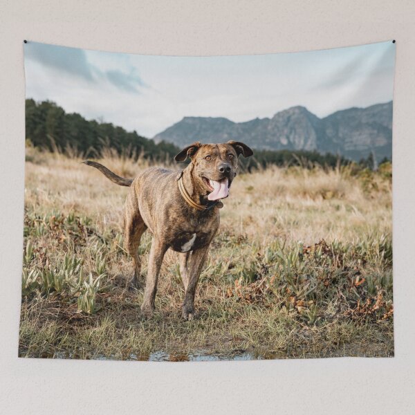 Item preview, pitbull in the park  designed and sold by Cannanvisual7.