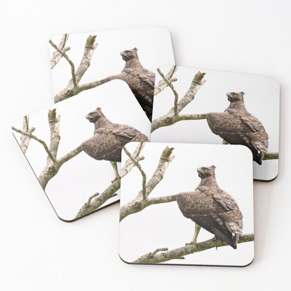 Item preview, The Martial Eagle designed and sold by MyAfricanSafari.