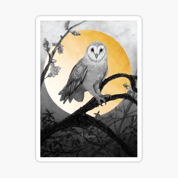 Gold Sun/Moon and Owl Sticker