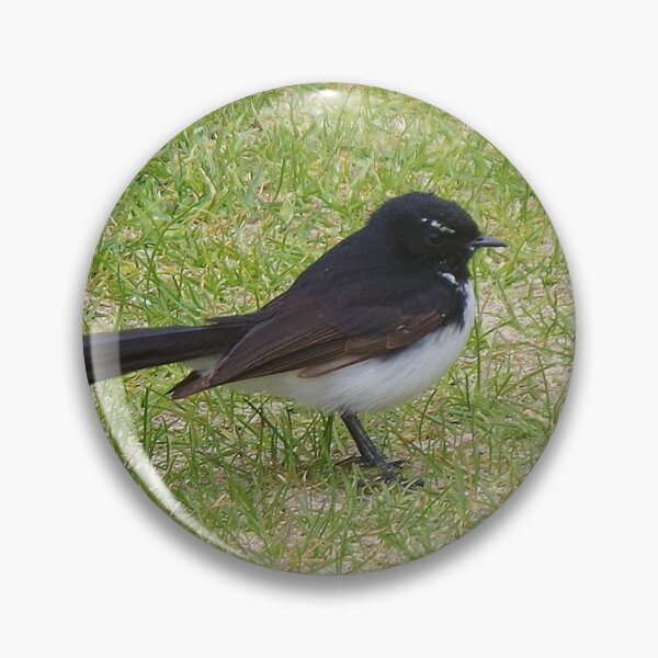 Item preview, Wagtail In Busselton, WA designed and sold by lezvee.