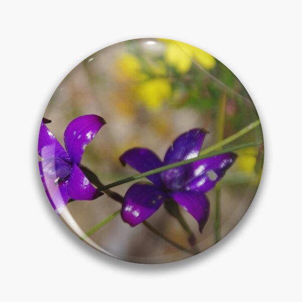 Item preview, Elythranthera brunonis (Purple Enamel Orchid) designed and sold by lezvee.