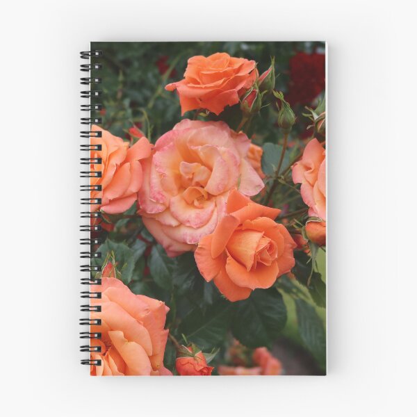 Item preview, Orange Roses  designed and sold by RT-FlowerShop.