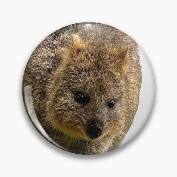 Artikelvorschau, QUOKKA-LIEBE entworfen und verkauft von flora-kitty-art.