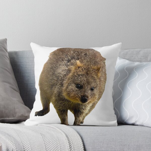 Item preview, QUOKKA LOVE designed and sold by flora-kitty-art.