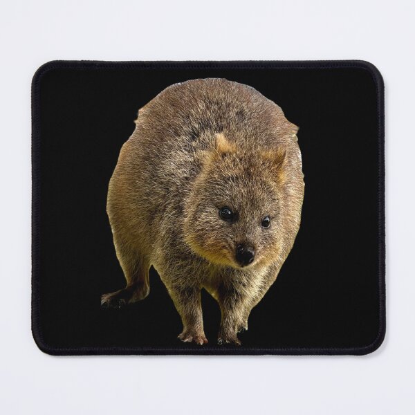 Artikelvorschau, QUOKKA-LIEBE entworfen und verkauft von flora-kitty-art.