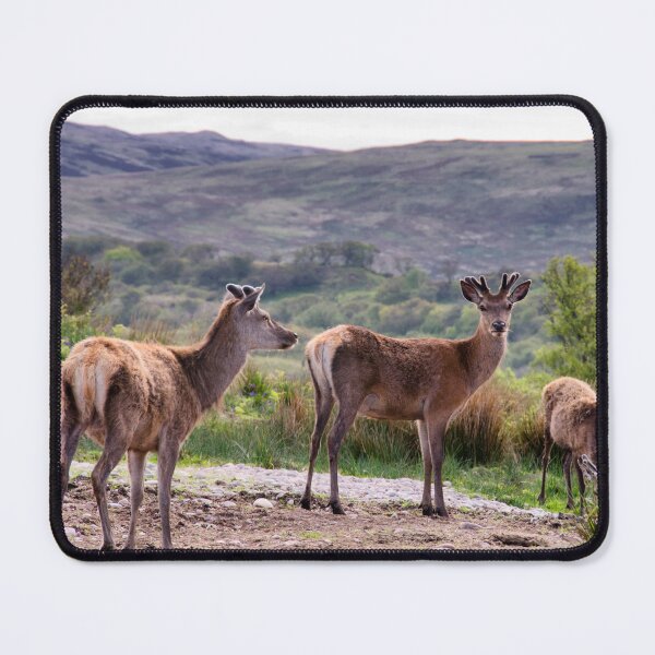 Item preview, Islay: Deer oh Deer designed and sold by Kasia Design.