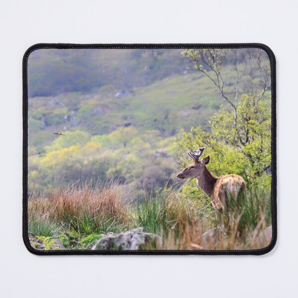 Item preview, This is My Glen designed and sold by Kasia Design.