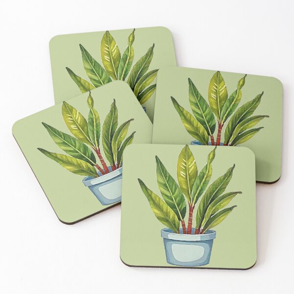 Item preview, Poted cast iron plant designed and sold by Rislam.