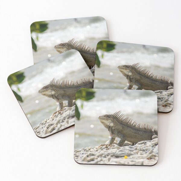 Item preview, Proud Iguana on Thousand Steps Beach Bonaire designed and sold by Kasia Design.