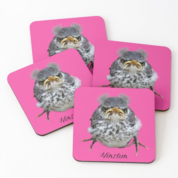 Item preview, Winston - an obviously mad baby mockingbird designed and sold by Warren Paul Harris.