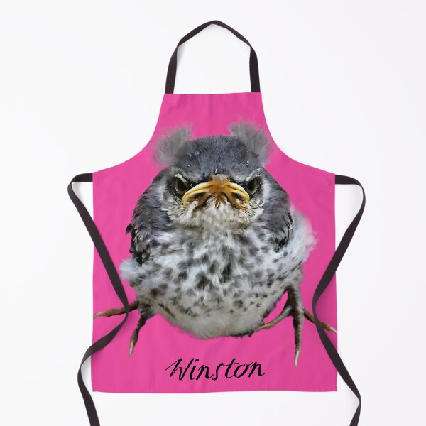 Item preview, Winston - an obviously mad baby mockingbird designed and sold by Warren Paul Harris.