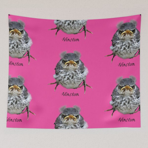 Item preview, Winston - an obviously mad baby mockingbird designed and sold by Warren Paul Harris.
