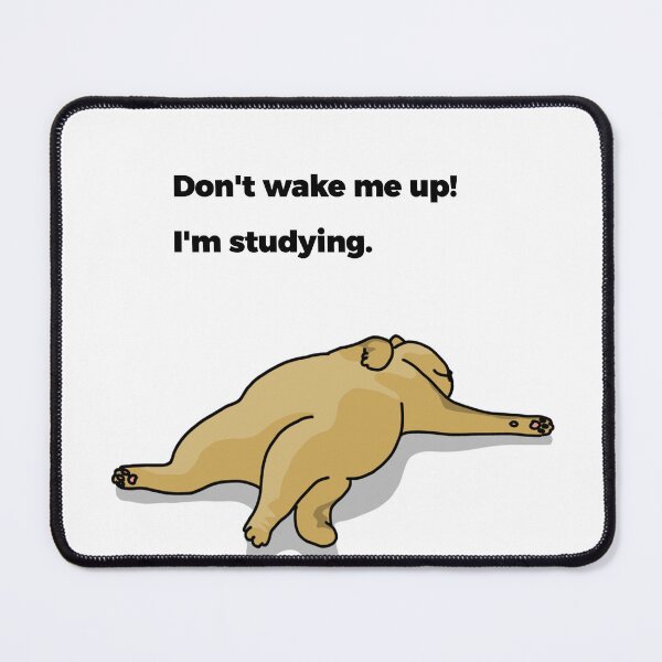 Item preview, Don't wake me up! I'm studying. designed and sold by SHOPPING BUDDY.