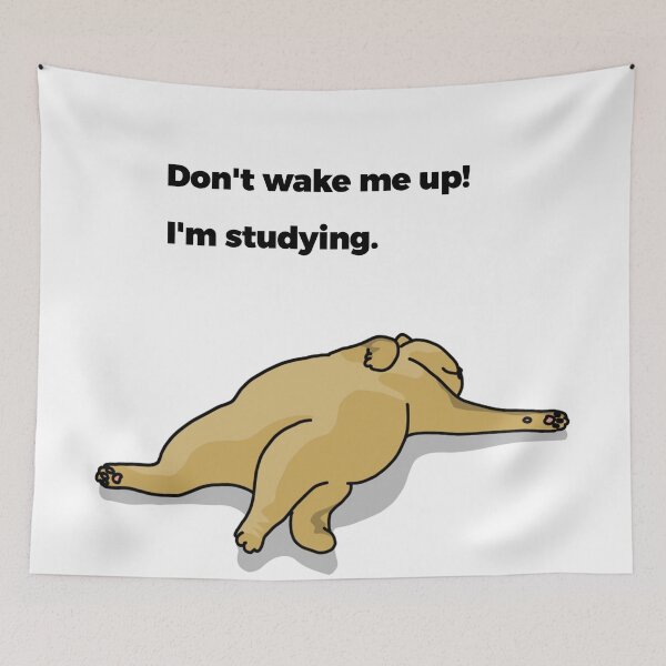 Item preview, Don't wake me up! I'm studying. designed and sold by SHOPPING BUDDY.