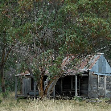 Artwork thumbnail, Wheelers Hut, Snowys. by Richard Stanley