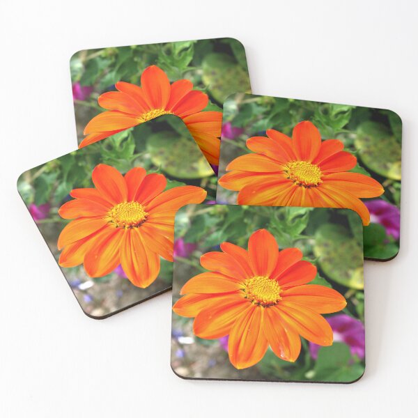 Item preview, Mexican sunflower 3 designed and sold by McFleur's Lens.