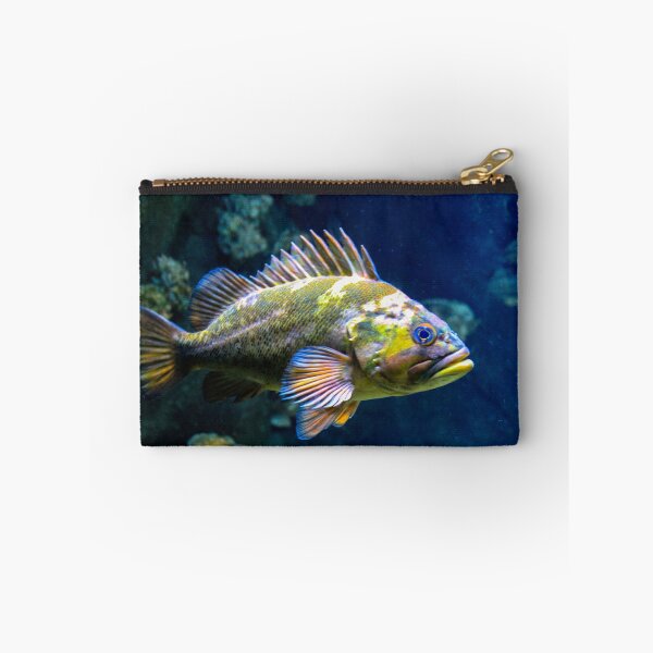 Item preview, Grumpy Rockfish designed and sold by Bonnie  Follett.
