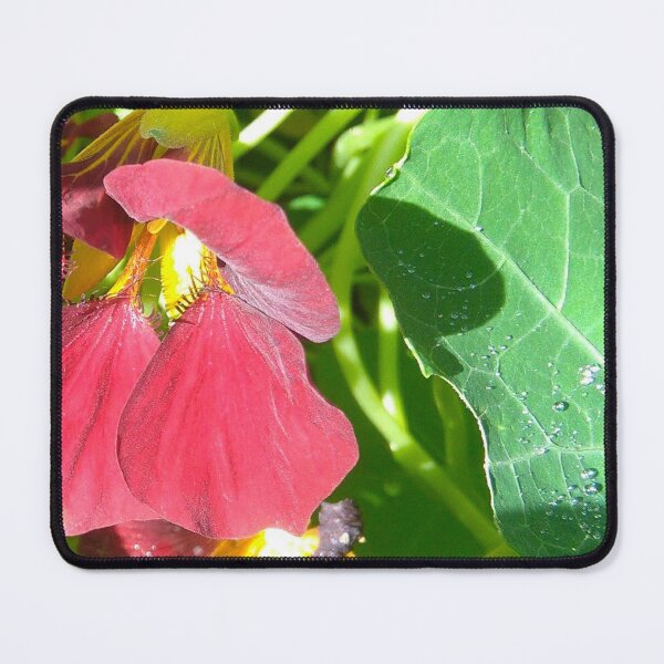 Item preview, Darkred Nasturtium designed and sold by hajarsdeco.