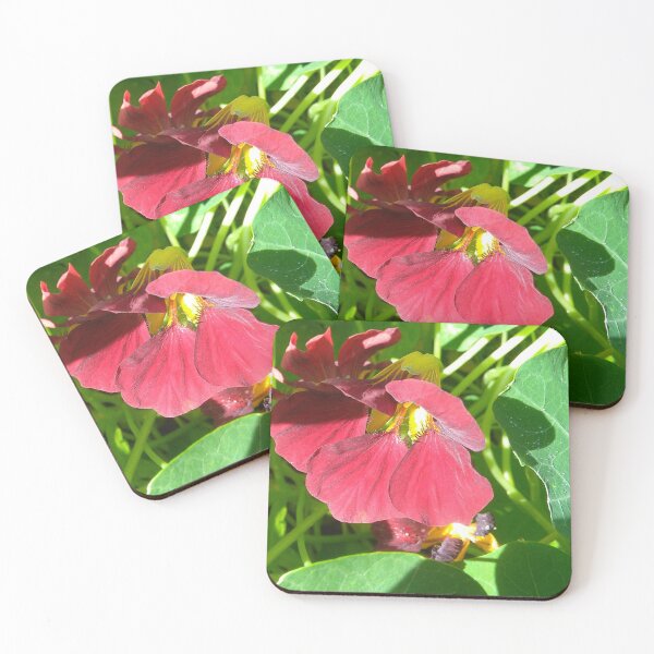 Item preview, Darkred Nasturtium designed and sold by hajarsdeco.