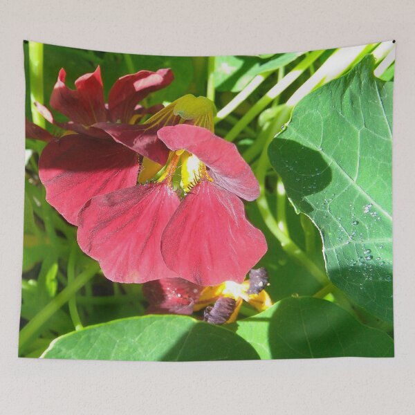 Item preview, Darkred Nasturtium designed and sold by hajarsdeco.