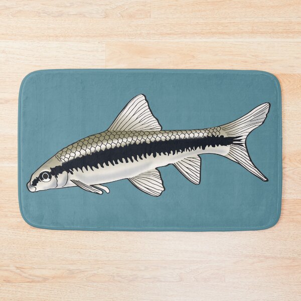 Item preview, Siamese Algae Eater designed and sold by Yellow Bird Studios.