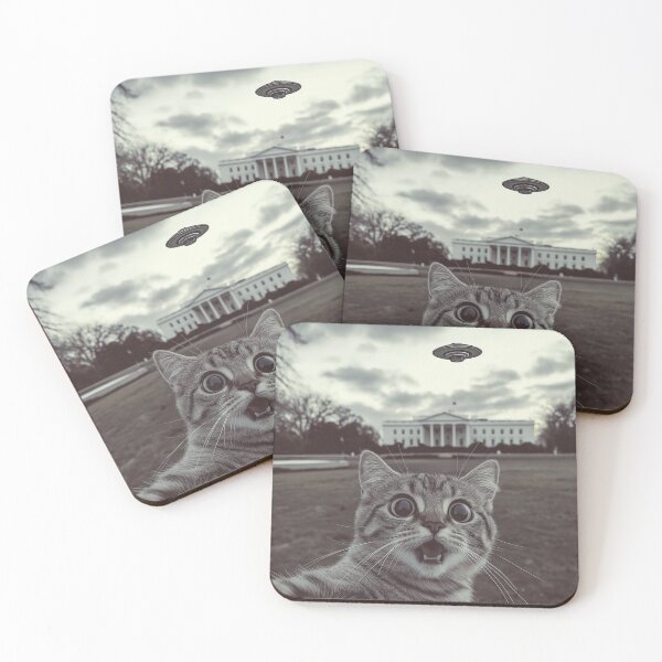 Item preview, Cat Selfie At The Whitehouse In The USA | Funny Cat | Fun | Funny Designs designed and sold by kneedownapparel.